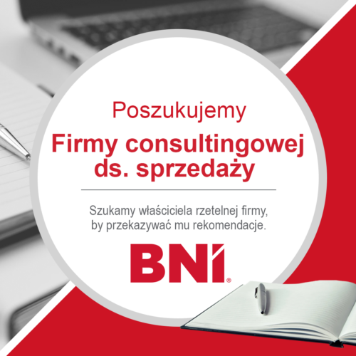 Consulting ds. sprzedazy